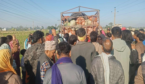 गाडीले ठक्कर दिँदा एकको मृत्यु, तीन घाइते