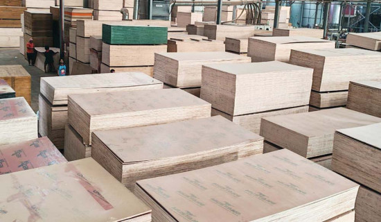 धमाधम बिआइएस पाउँदै नेपाली प्लाई उद्योग