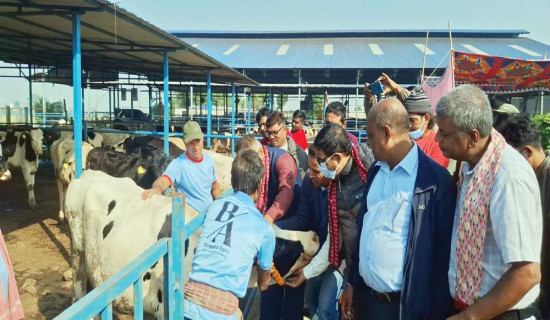 कोशीलाई खोरेतमुक्त बनाउन खोप अभियान