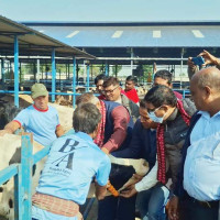 जसपा यादव पक्षको केन्द्रीय समिति बैठक सुरु