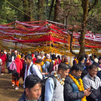 धमाधम बिआइएस पाउँदै नेपाली प्लाई उद्योग
