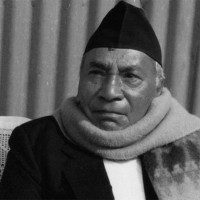 धमाधम बिआइएस पाउँदै नेपाली प्लाई उद्योग