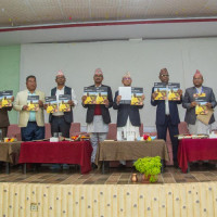 धमाधम बिआइएस पाउँदै नेपाली प्लाई उद्योग