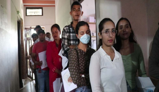 धमाधम बिआइएस पाउँदै नेपाली प्लाई उद्योग