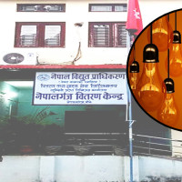 धमाधम बिआइएस पाउँदै नेपाली प्लाई उद्योग