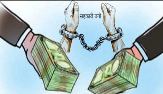 धमाधम बिआइएस पाउँदै नेपाली प्लाई उद्योग