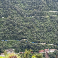 सुन्तला बगैँचामा रोग फैलिँदा किसान चिन्तित