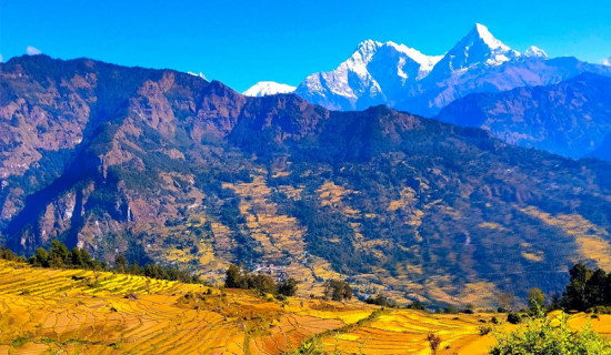 अनुमति नलिई सञ्चालित मनकामना अस्पताल बन्द गर्न निर्देशन