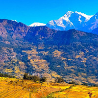 अनुमति नलिई सञ्चालित मनकामना अस्पताल बन्द गर्न निर्देशन