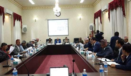 रोपाइँपछि खेतको मनमोहक दृश्य [फोटोफिचर]