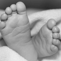 पाँच लाख भारूसहित पाँचजना पक्राउ