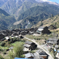 क्रिकेटर पूजा जनकपुरको ‘फेस अफ द बोल्ट्स’