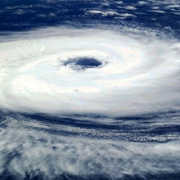 क्रिकेटर पूजा जनकपुरको ‘फेस अफ द बोल्ट्स’