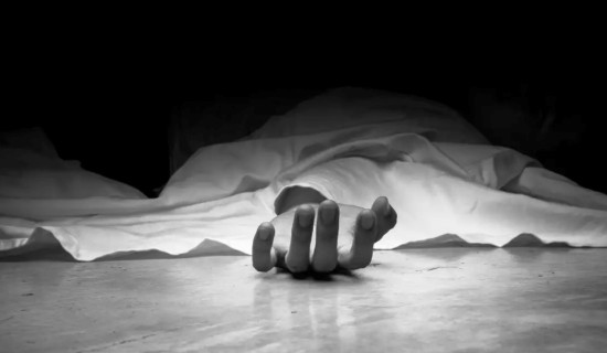 हात्तीको आक्रमणबाट ट्रक चालकको मृत्यु