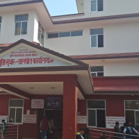 हात्तीको आक्रमणबाट ट्रक चालकको मृत्यु