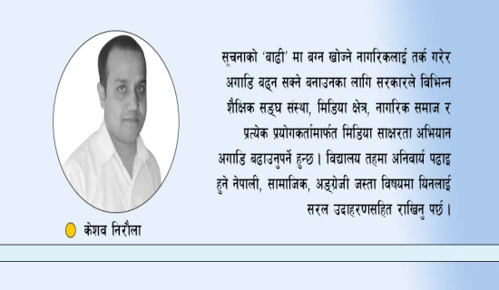 मिडिया साक्षरता अभियान