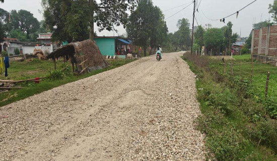 चार वर्षमा पनि बनेन सडक