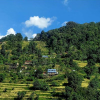 फाल्गुनन्द समाजका लागि व्यवहारिक नीति नियम बनाउने दार्शनिक : प्रदेश प्रमुख खापुङ