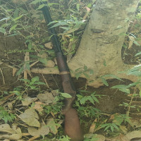 कोसी अस्पतालमा बिरामीको चाप