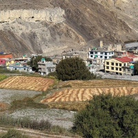 बेवारिसे अवस्थामा भरुवा बन्दुक फेल