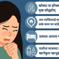 मधेशका प्रदेश प्रमुख भण्डारी पदमुक्त