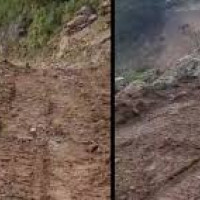 मालपोत प्रमुख अधिकारी निलम्बनपछि सेवा प्रभावित