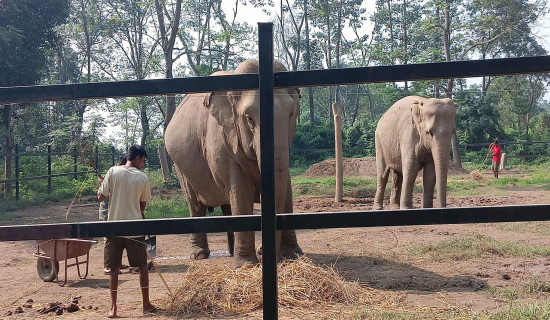 रुग्ण उद्योग अध्ययन गरिने