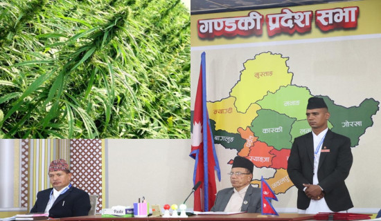 काठ तस्करीमा संलग्न एक जना पक्राउ, चार मोटरसाइकल बरामद