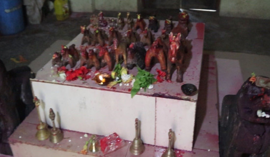 घोडाघोडीमा लवाङ्गी पूजा महोत्सव हुने