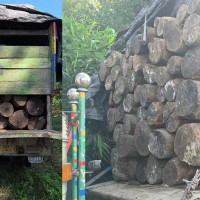 त्रिविको जग्गा मिच्ने र बिक्री गर्ने प्रवृत्ति तत्काल रोक्न निर्देशन