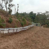 दिल्लीको घातक विस्फोटलाई ‘षड्यन्त्र’ भन्दै प्रधानमन्त्री मोदीद्वारा दोषीलाई कठोर कारबाहीको चेतावनी