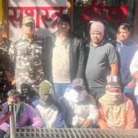 अस्ट्रेलियामा ‘लुसिफर’ मौरीको खोजः सिङ भएको नयाँ प्रजातिले वैज्ञानिक चकित