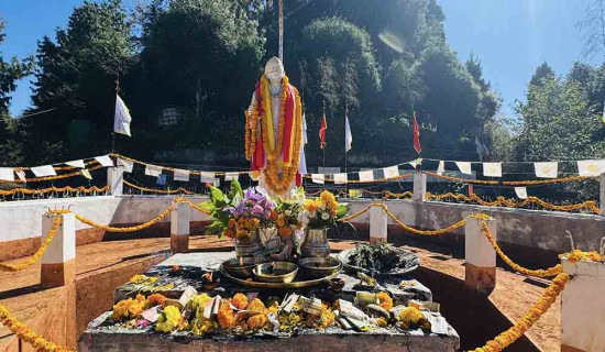 अस्ट्रेलियामा ‘लुसिफर’ मौरीको खोजः सिङ भएको नयाँ प्रजातिले वैज्ञानिक चकित