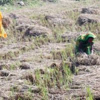 बेनी–जोमसोम सडक खण्ड अबरुद्ध