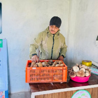 लोकप्रिय निर्णय कार्यान्वयनमा बेवास्ता