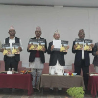 भट्टराईलाई ‘व्यथित साहित्य सम्मान’