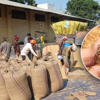 दुईसय कृषकलाई कृषि औजार सामग्री वितरण