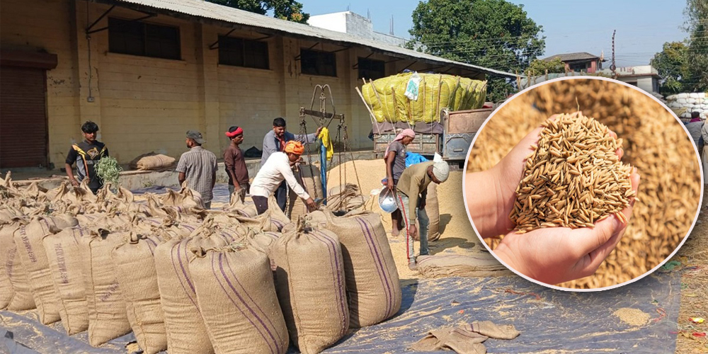 खाद्यले खरिद क्षमता बढाउनु पर्ने किसानको माग