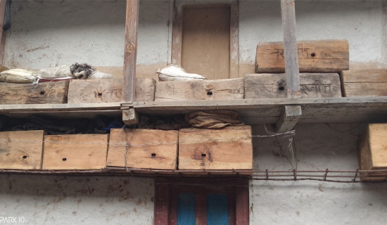 हटाइए आठ स्थानीय तहमा कार्यरत करार कर्मचारी