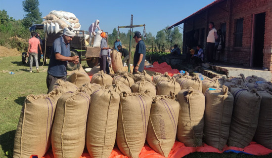 महिला र बालबालिका बेचविखनको उच्च जोखिममा