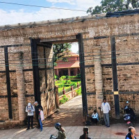 पाल्पामा 'आईपीभी' खोप अभियान