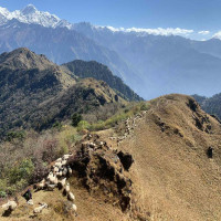 कर्णालीबाट चिकित्साशास्त्र अध्यापन