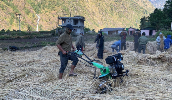 मृतक मतदाताको नाम हटाइने