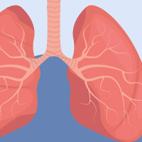 बालिकाको डुबेर मृत्यु