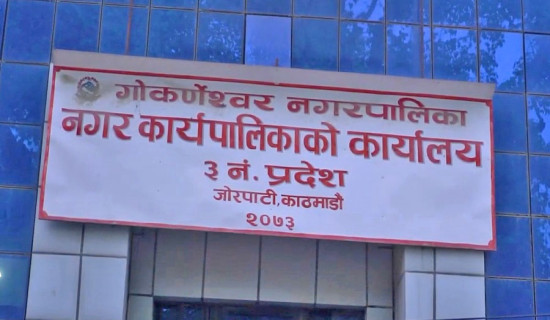 काठेपुल तर्दै पर्यटक