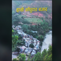 मुख्यमन्त्रीले लिनुभयो घाइतेको अवस्थाबारे जानकारी