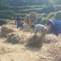 ग्लोबल आइएमई बैङ्कले आठ प्रतिशत नगद लाभांश दिने