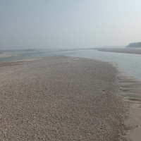 ढलेको धान काट्न नसक्दा किसान चिन्तित