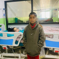 अमेरिकामा यस वर्ष दादुराका ८८४ बिरामी भएको पुष्टि