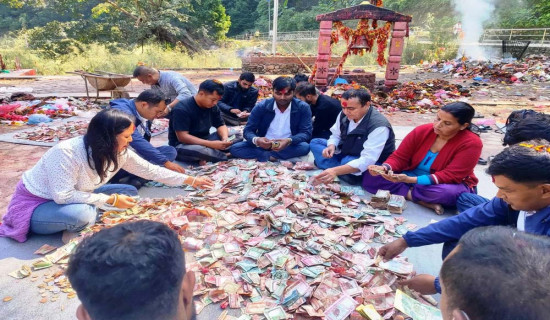 अमेरिकामा यस वर्ष दादुराका ८८४ बिरामी भएको पुष्टि